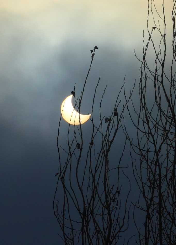 Eclipsa Soare 4 ianuarie 2011