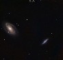 Galaxia Bode (M81) si Galaxia Trabucul (M82)